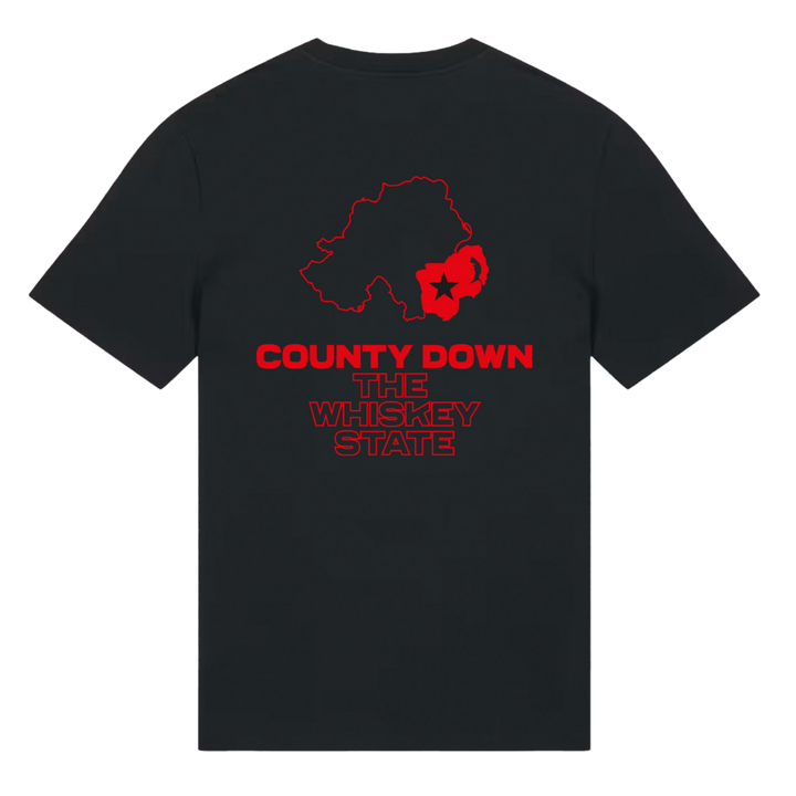 Back of black Belfast Whiskey Week t-shirt with County Down whiskey map graphic in red