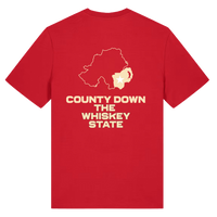 Back of red Belfast Whiskey Week t-shirt reading County Down The Whiskey State with Northern Ireland map