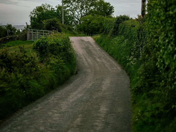 The narrow country lane through green hedgerows on the road to Killowen Distillery