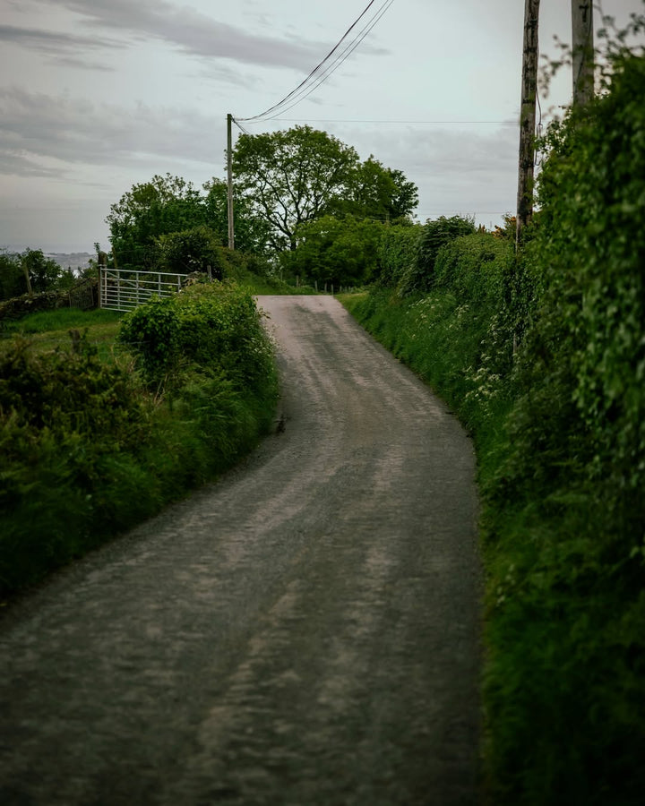 The narrow country lane through green hedgerows on the road to Killowen Distillery